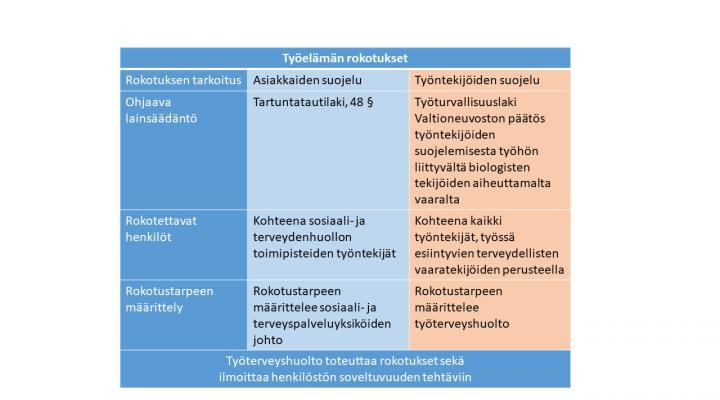 Työelämän rokotuksista kertova kaavio