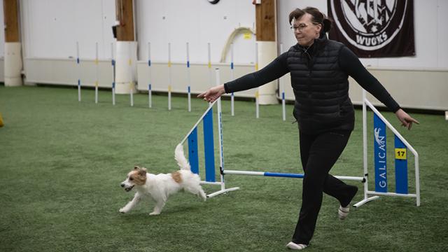 Vastuualuejohtaja Anne Turppo.