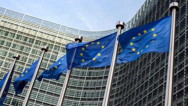 EU:n lippuja rivissä EU-rakennuksen edessä