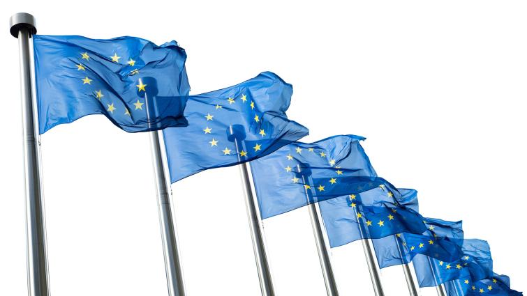 Euroopan unionin lippuja saloissa
